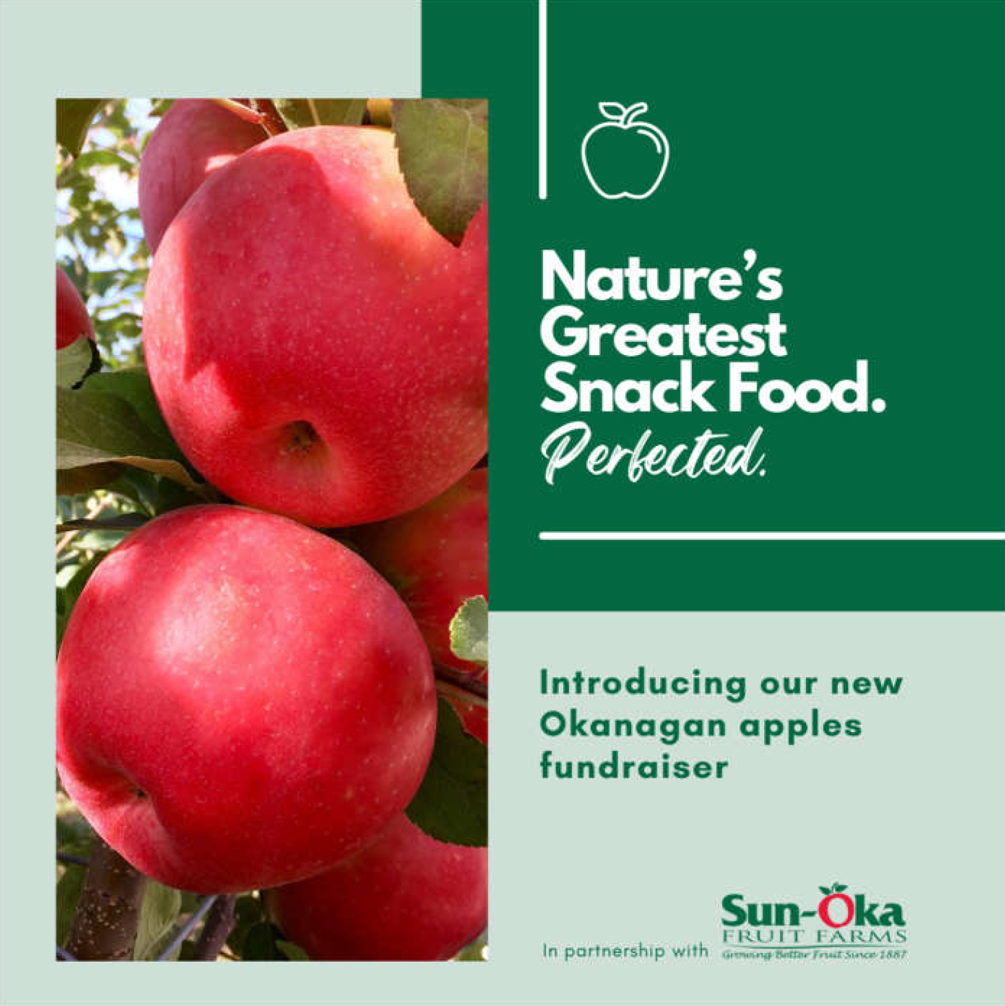 Apples Fundraiser Jamieson PAC